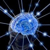 cerebro